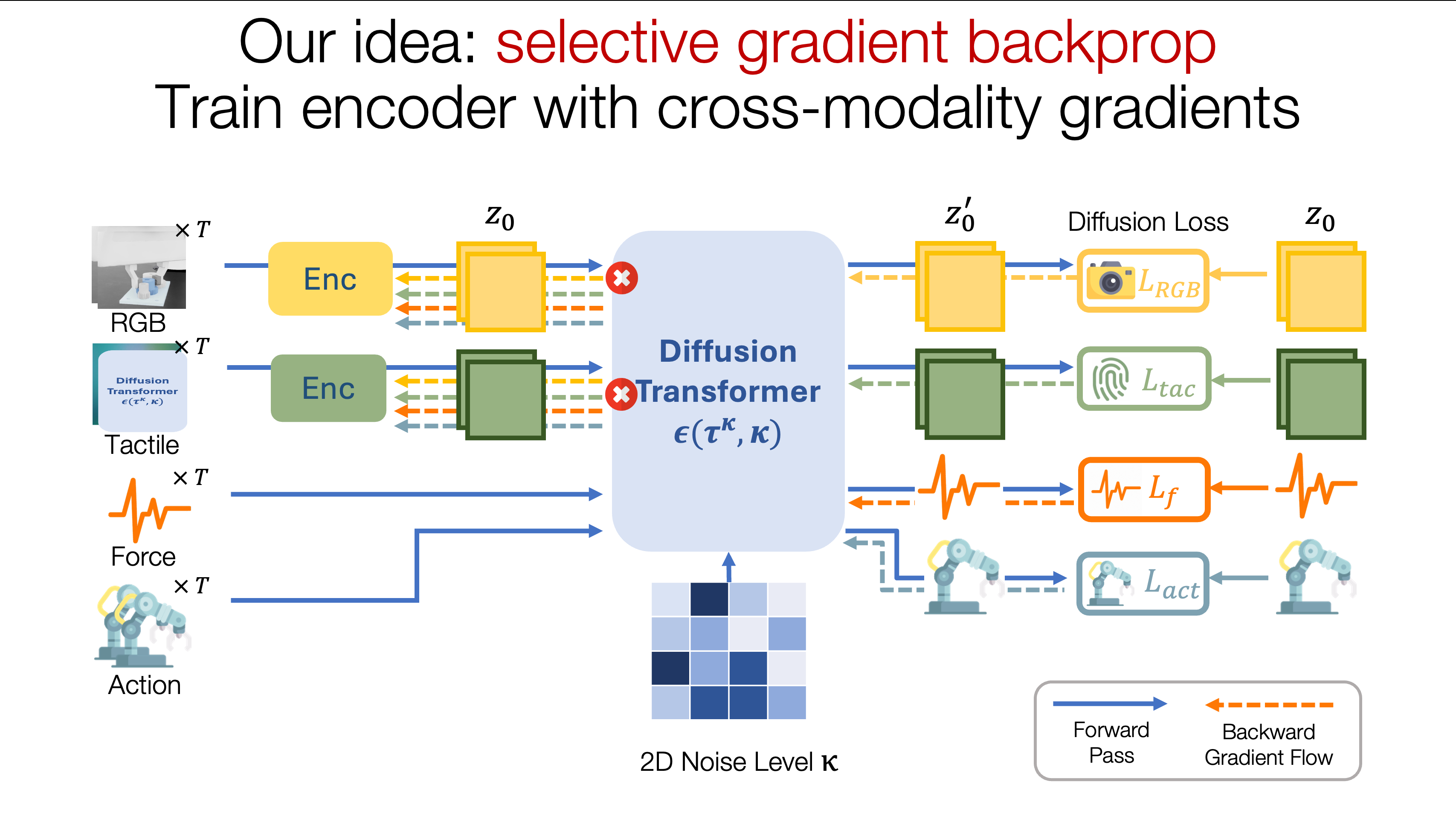 MDF++ selective gradient backpropagation architecture